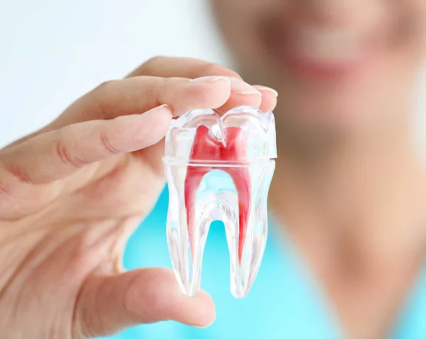 بهترین متخصص ریشه غرب تهران