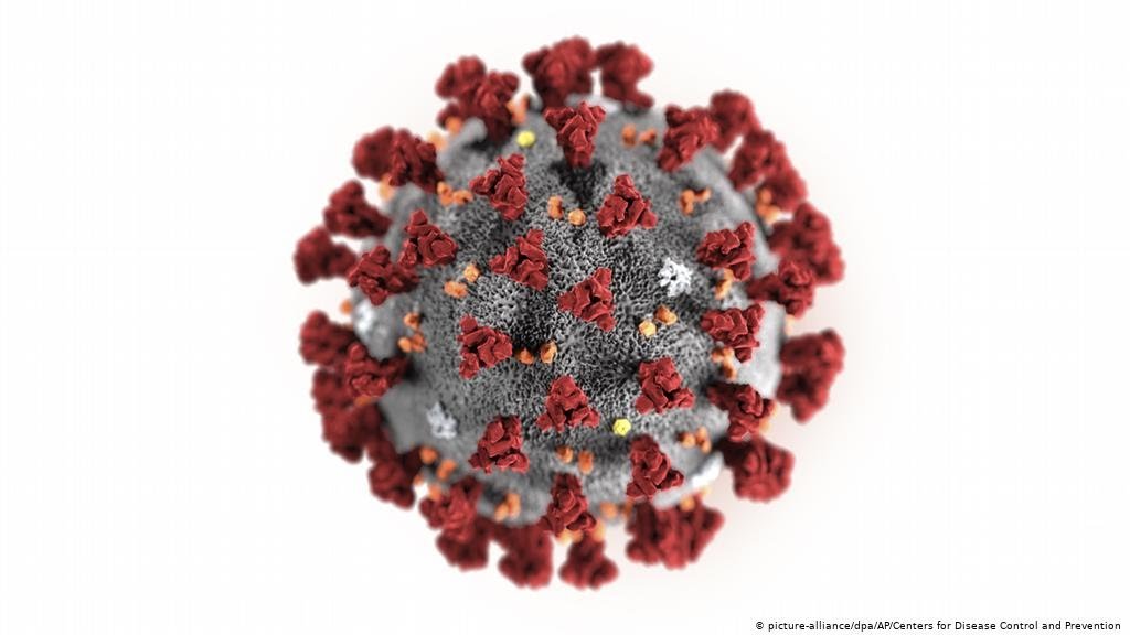 کرونا واقعا از کجا اومد ؟